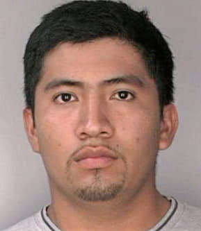 Borjorquez Henry - Hillsborough County, FL 