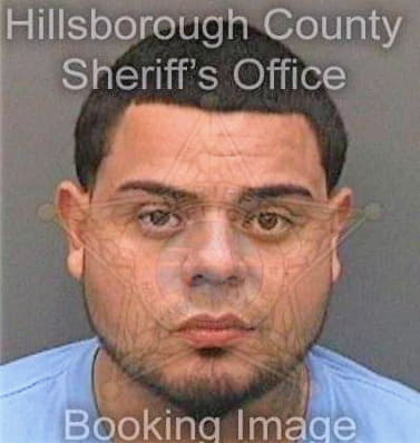 Ventura Hector - Hillsborough County, FL 