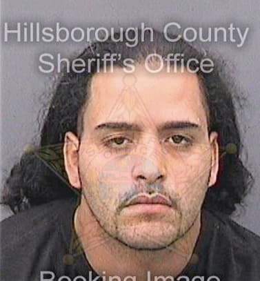 Medina Jason - Hillsborough County, FL 