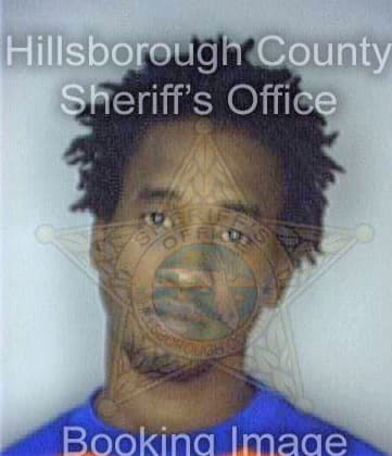 Holton Lawrence - Hillsborough County, FL 