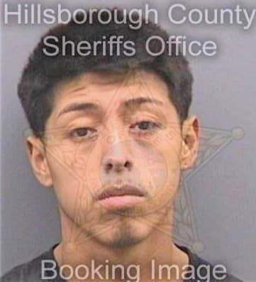 Maldonado Jose - Hillsborough County, FL 