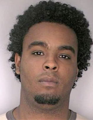 Mercedes Irving - Hillsborough County, FL 