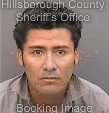 Gonzalezgonzalez Jorge - Hillsborough County, FL 