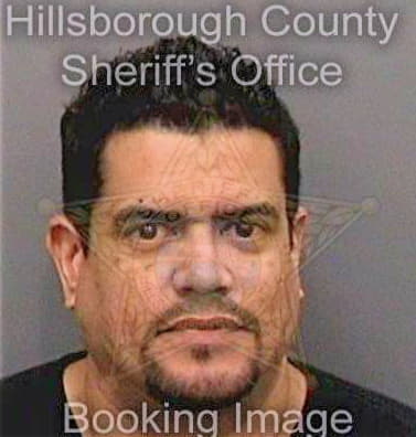 Marrerogonzalez Jose - Hillsborough County, FL 