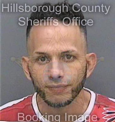 Rodriguez Francisco - Hillsborough County, FL 