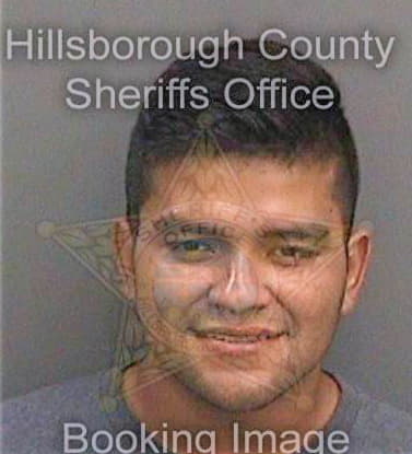 Jimenez Daniel - Hillsborough County, FL 