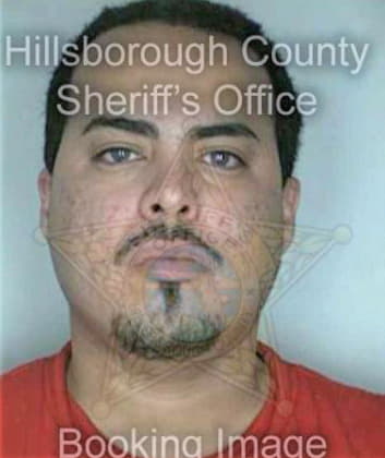 Diaz Youanis - Hillsborough County, FL 