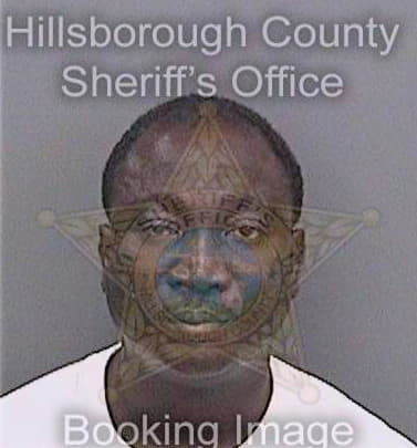 Salami Adewale - Hillsborough County, FL 