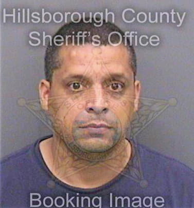 Manley Nathan - Hillsborough County, FL 