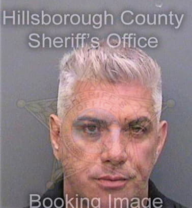 Hernandez Orelve - Hillsborough County, FL 