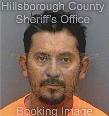 Vargas Pedro - Hillsborough County, FL 