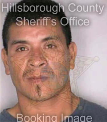 Jimenez Raymundo - Hillsborough County, FL 