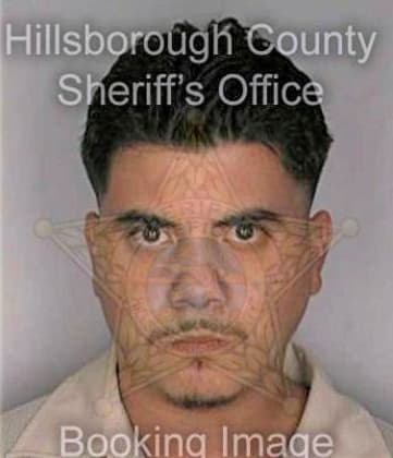 Soto Andres - Hillsborough County, FL 