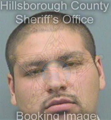 Ferreiravazquez Jose - Hillsborough County, FL 