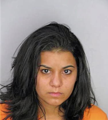 Fernandez Cristina - Hillsborough County, FL 