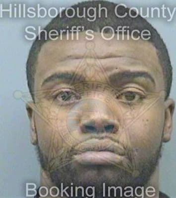 Campbell Theodore - Hillsborough County, FL 