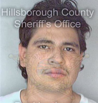 Dominguez Haanzel - Hillsborough County, FL 