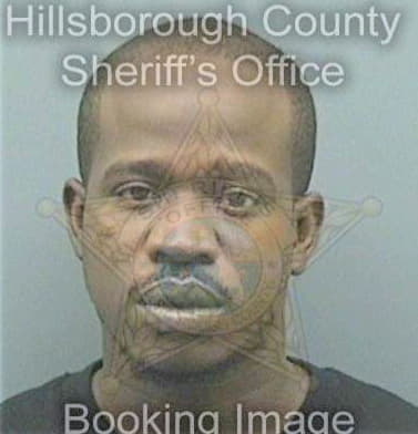 Simmons Brian - Hillsborough County, FL 