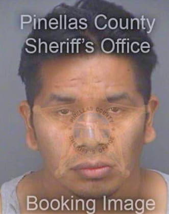 Nonthe Jose - Pinellas County, FL 