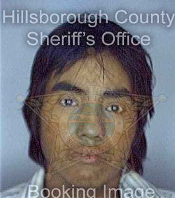 Mejia Gabriel - Hillsborough County, FL 