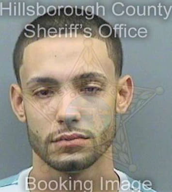 Delgado Nicolas - Hillsborough County, FL 