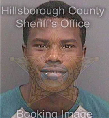 Johnson Reginald - Hillsborough County, FL 