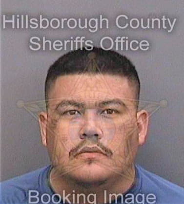 Sierra Domingo - Hillsborough County, FL 