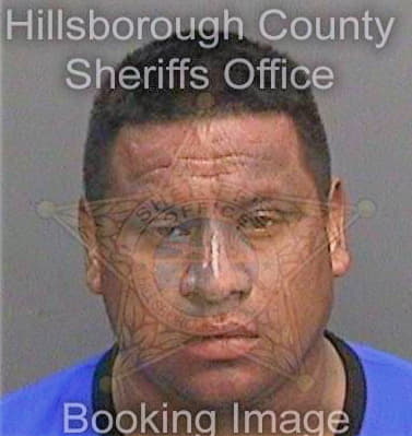 Martinezortiz Miguel - Hillsborough County, FL 