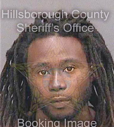Milledge Diron - Hillsborough County, FL 