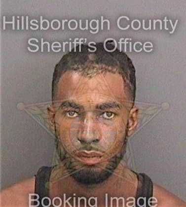 Gibson Ramon - Hillsborough County, FL 