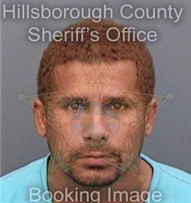 Lopezfigueroa Omar - Hillsborough County, FL 