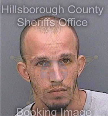 Hurtt Joseph - Hillsborough County, FL 