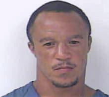 Dennis David - StLucie County, FL 