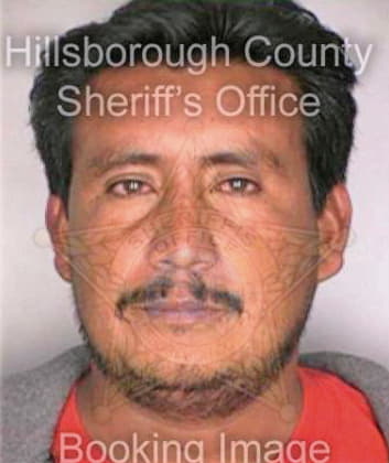 Gomezbautista Jose - Hillsborough County, FL 