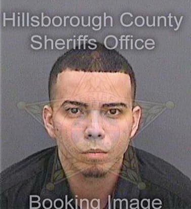Millan Jose - Hillsborough County, FL 