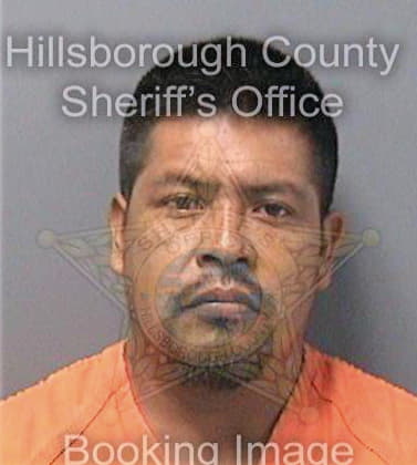 Perez Andres - Hillsborough County, FL 