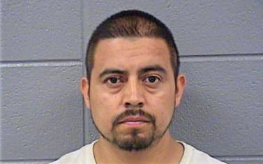 Garcia-Robles Carlos - Cook County, IL 