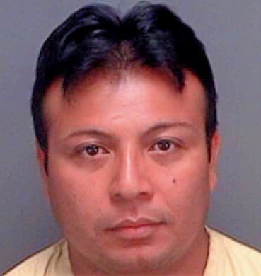 Duran Gerardo - Pinellas County, FL 