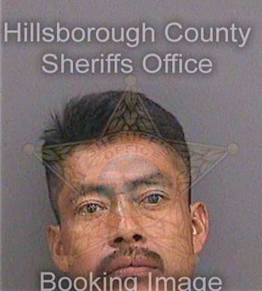 Ramos Arnulfo - Hillsborough County, FL 