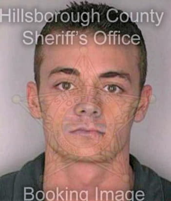 Freedman Michael - Hillsborough County, FL 