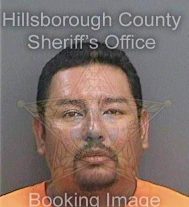 Nevares Miguel - Hillsborough County, FL 