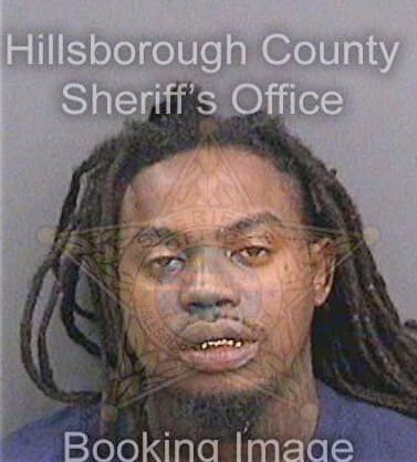 Clemons Shaver - Hillsborough County, FL 