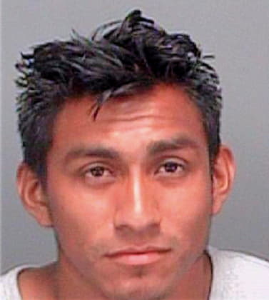 Hernandez Edgardo - Pinellas County, FL 