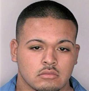 Mendoza Graciano - Hillsborough County, FL 