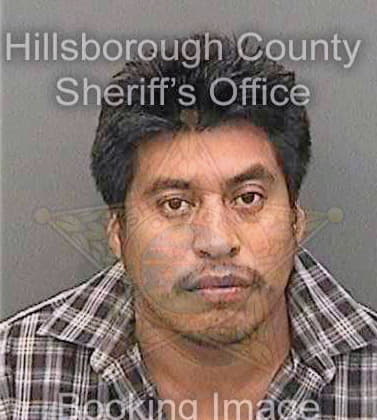 Salinashernandez Lorenzo - Hillsborough County, FL 