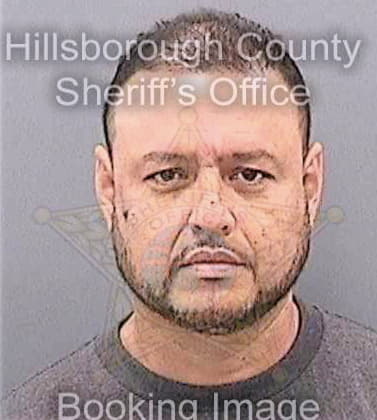 Giron Ramon - Hillsborough County, FL 