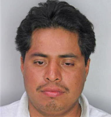 Ramires Baldomero - Hillsborough County, FL 