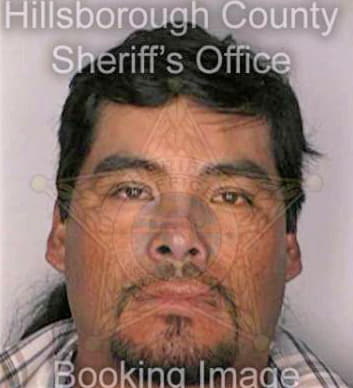 Mentadoramon Alejandro - Hillsborough County, FL 