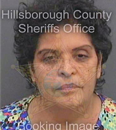 Ramirez Manuela - Hillsborough County, FL 