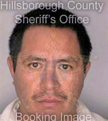 Deleon Jose - Hillsborough County, FL 